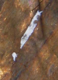 1944-D-Lamiination-&-DDR?